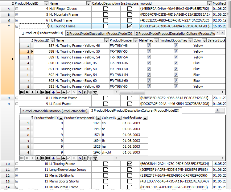 Master-Detail Data View