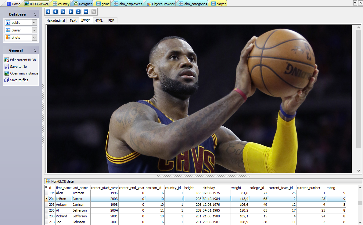 BLOB management tools